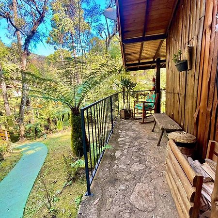 Pousada Villa D'Amore 몬테베르데 외부 사진