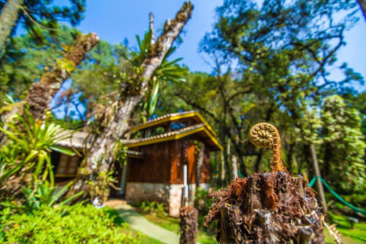 Pousada Villa D'Amore 몬테베르데 외부 사진
