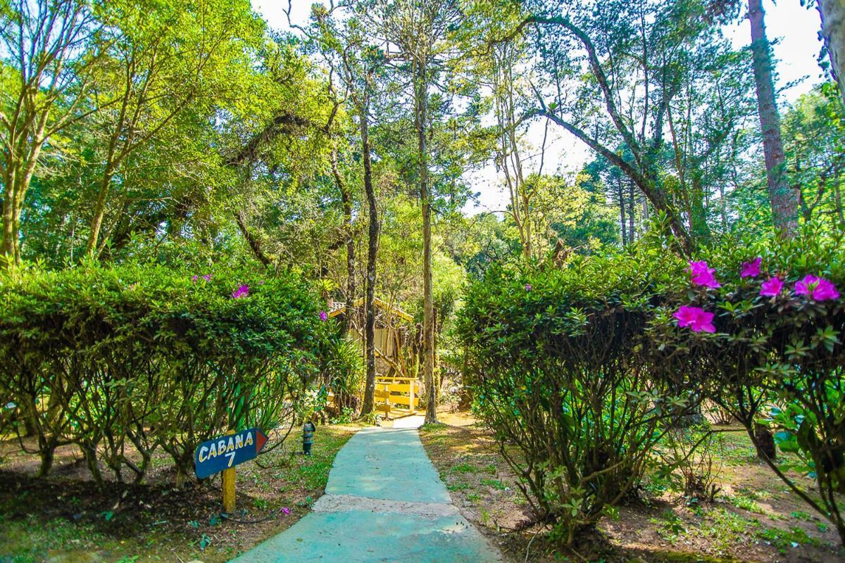 Pousada Villa D'Amore 몬테베르데 외부 사진