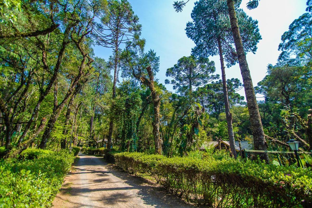 Pousada Villa D'Amore 몬테베르데 외부 사진